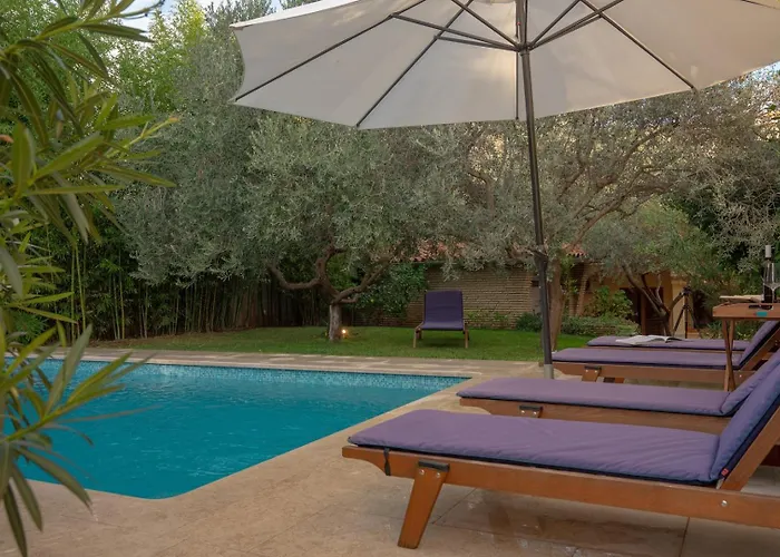 Bamboo Garden Oasis With Pool