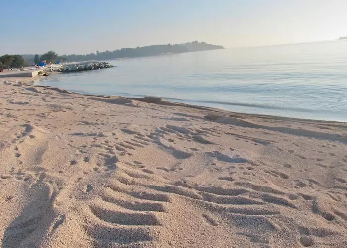 Bamboo Garden Oasis With Pool Semesterbostad *